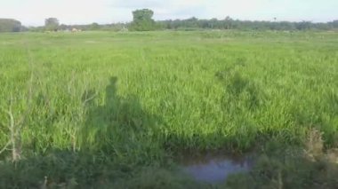 Yolda gölgeli bir motorcu gezintisi Sahayı yansıtıyor.