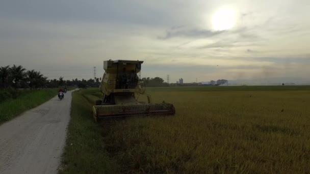 Bukit Mertajam Malaysia March 2018 Agricultural Harvester Cut Paddy Field — Stock Video