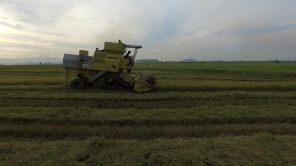 Bukit Mertajam Malaysia March 2018 Harvester Machine Reduce Farmer Effort — Stock Video
