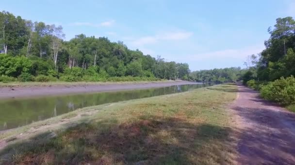 ペナンのマングローブ湿地地域で安定した状態で川の撮影に沿って風景ドライブ — ストック動画