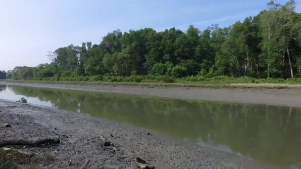 Panning Colpo Mangrovie Palude Nibong Tebal Penang — Video Stock