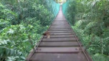 Alçak açılı gölgelik ormanda yürüyor. Köprü sallanıyor..
