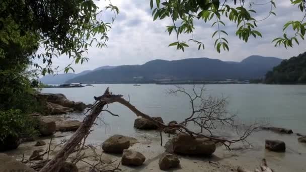 Horizontales Schwenken Vom Wald Zum Meer Mit Felsen Und Trockenen — Stockvideo