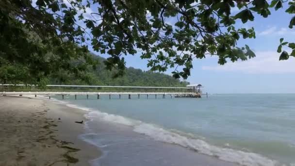 Teluk Bahang Malaysia Marca 2018 Kierunku Usm Centre Marine Coastal — Wideo stockowe