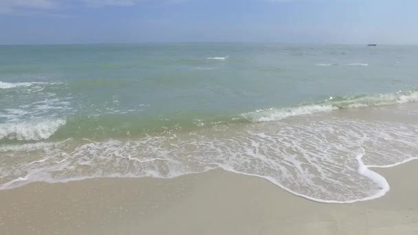 Ondas Praia Areia Enjoyable Cercar — Vídeo de Stock