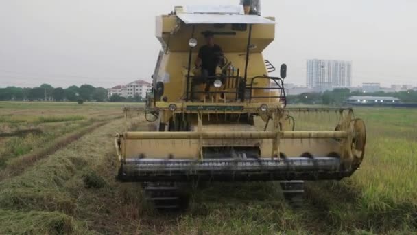 Bukit Mertajam Malaisie Mars 2018 Les Paysans Travaillent Dans Moissonneuse — Video