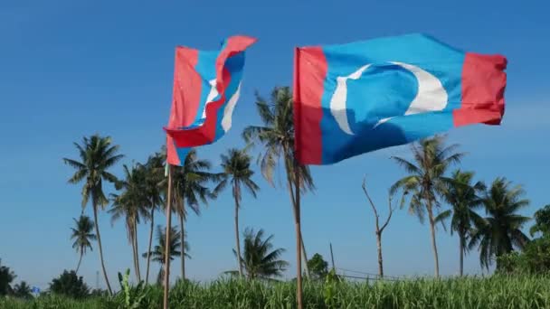 マレーシアのブキット マータジャム 2018年3月28日 風による2つの旗人民正義党 Parti Keadilan の波を閉じる — ストック動画