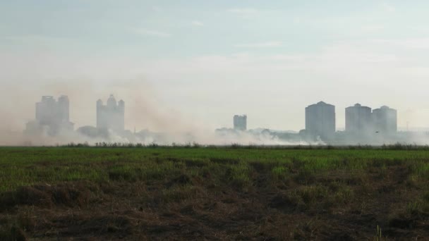 Queimadura Aberta Lado País Fazenda Agrícola — Vídeo de Stock