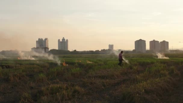 マレーシアのブキット マータジャム 2018年3月28日 農民は土地をきれいにするために水田を焼き払う — ストック動画