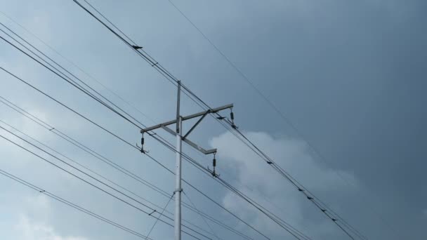 Crows Pobyt Latać Pobliżu Kabla Elektrycznego Pochmurny Dzień Przed Deszczem — Wideo stockowe