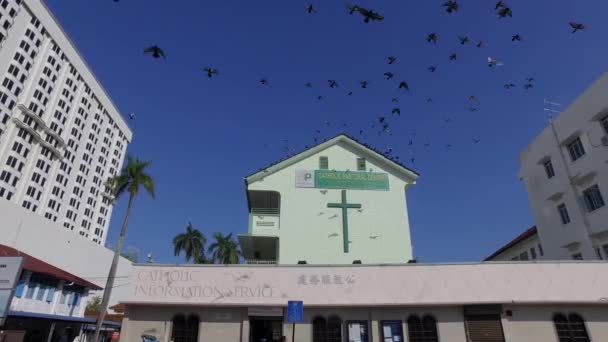 マレーシアのペナン エイプリル社2018年9月9日 鳩がカトリックの牧畜センターに飛び立つ — ストック動画