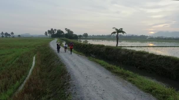 Bukit Mertajam Malaysia April 2018 완두콩 밭에서 조깅하는 말레이인 아이들의 — 비디오