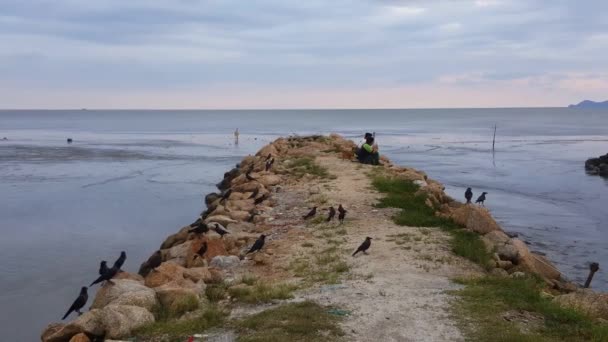 Dos Hombres Cenan Orilla Del Permatang Damar Laut Acompañados Por — Vídeos de Stock