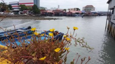 Malezya 'nın Penang Adası' nda ön planda çiçek ve arka planda iskele..