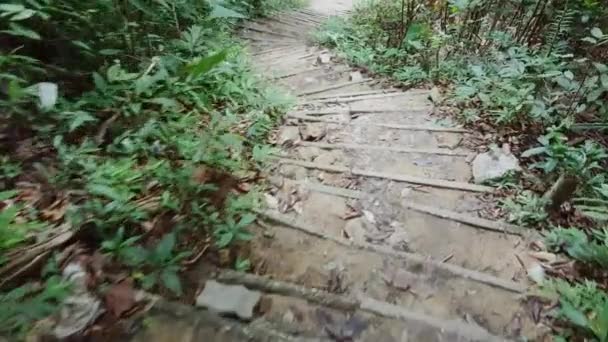 在植物园的丛林里走下楼去 — 图库视频影像