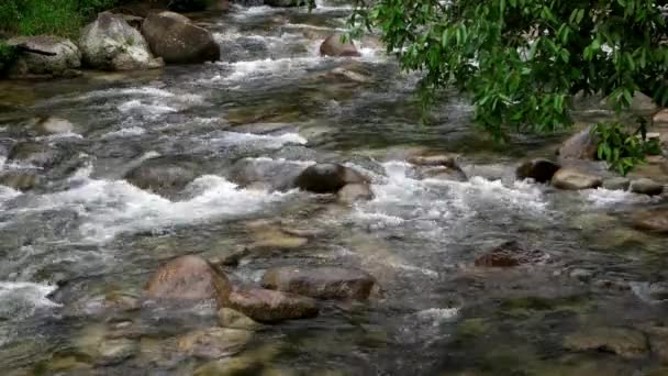 Şelale Akışı Sungai Sedim Kedah Malezya — Stok video