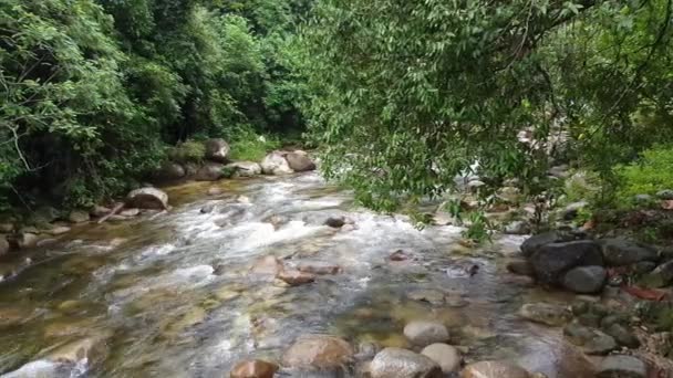 Hutan Lipur Sungai Sedim Kedah Malajsie Ráno — Stock video
