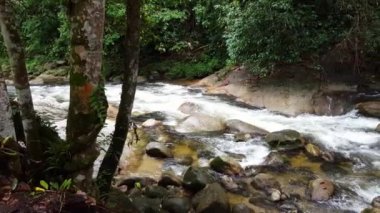 Sungai Sedim, Kedah, Malezya 'da hızlı akan sular..