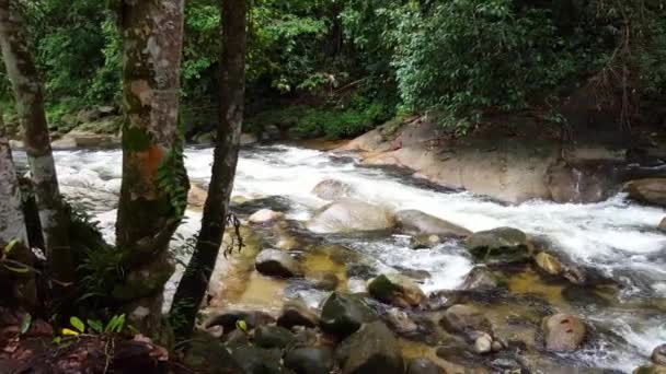 Rápido Flujo Agua Sungai Sedim Kedah Malasia — Vídeo de stock