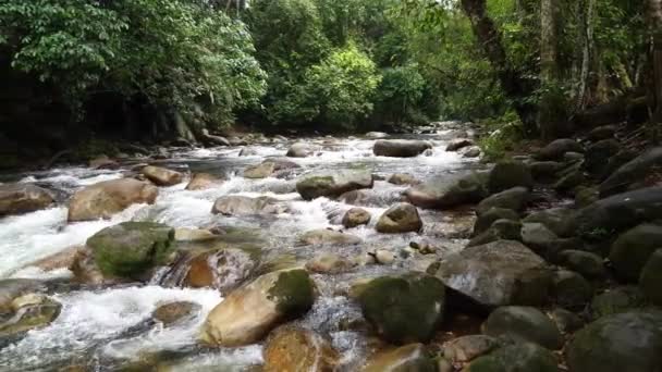 Panning Colpo Flusso Acqua Rapido Movimento Presso Cascata Sungai Sedim — Video Stock