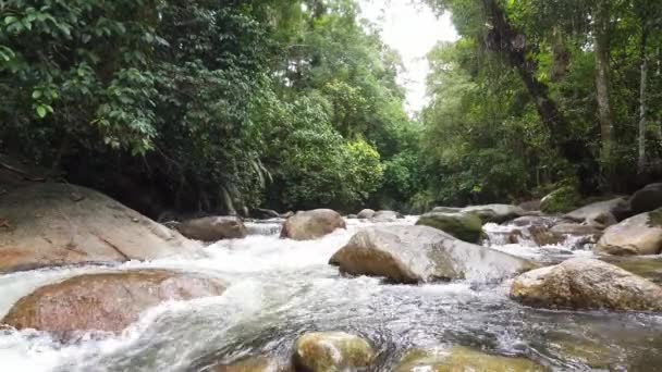 Cenário Bonito Intocado Sungai Sedim Recreational Park — Vídeo de Stock