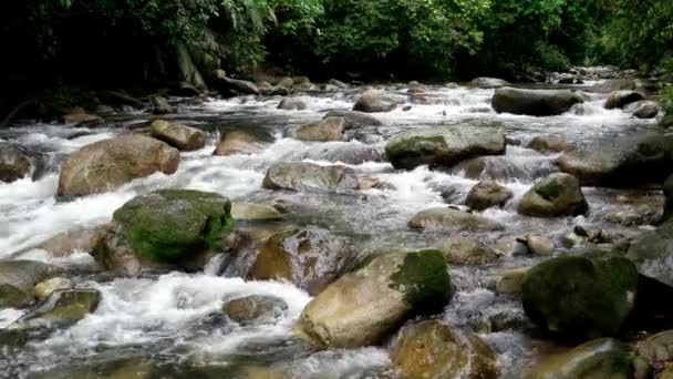 Mycket Vatten Rinner Mellan Klippan Vid Hutan Lipur Sungai Sedim — Stockvideo