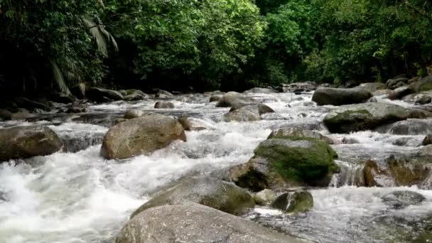 Hermoso Paisaje Verde Refresco Con Flujo Rápido Agua Entre Roca — Vídeo de stock