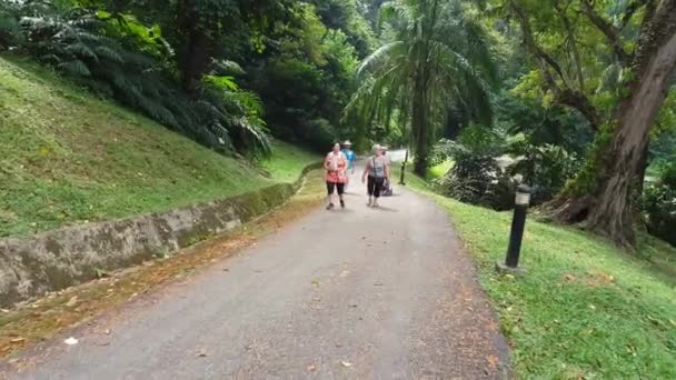 George Town Penang Malaysia Jun 2018 Familjebesök Botanisk Trädgård — Stockvideo