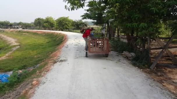 Seberang Perai Penang Malaysia Jun 2018 Ένας Αγρότης Τοποθετεί Εμπορευματοκιβώτιο — Αρχείο Βίντεο