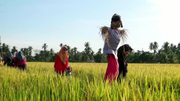 Kampung Terus Penang Maleisië Aug 2018 Mensen Voelen Interesse Met — Stockvideo