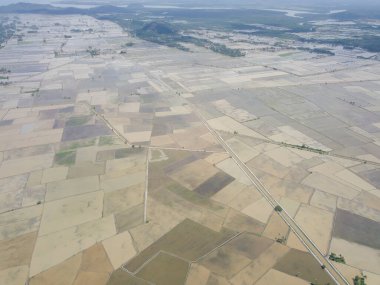 Hava manzarası su mevsiminde çeltik tarlasına bakıyor.