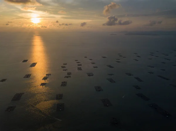 Αεροφωτογραφία Βάρκα Κινούνται Ιχθυοτροφείο Στο Ηλιοβασίλεμα Ώρα Στο Pulau Pinang — Φωτογραφία Αρχείου