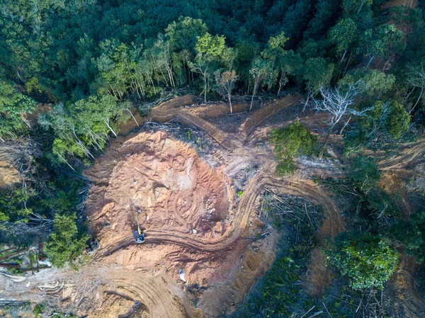 空中景观俯瞰挖掘机和森林中的土地清理 — 图库照片