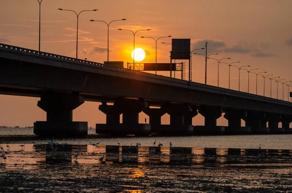 Batu Kawan Dan Penang Ikinci Köprü Manzaralı Günbatımı Turna Kuşları — Stok fotoğraf