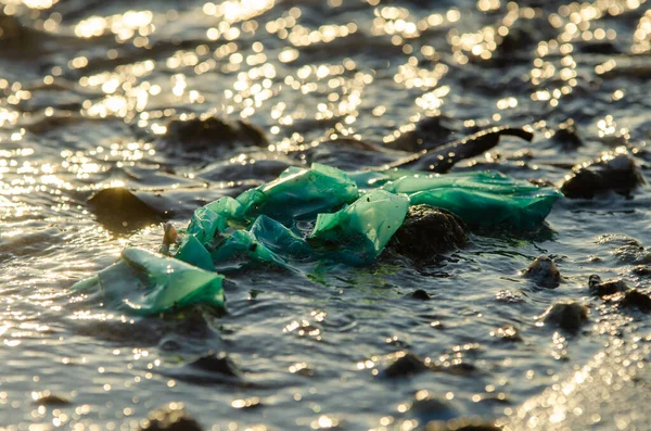Plastic waste contamination at sea in sunlight morning.
