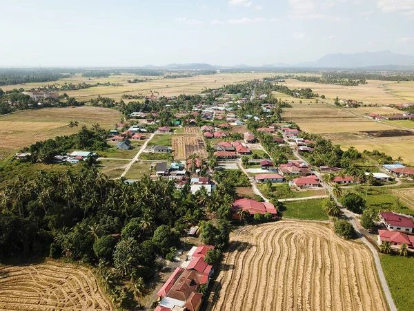 Letecký Pohled Sklizené Rýžové Pole Malajsijském Kampungu — Stock fotografie