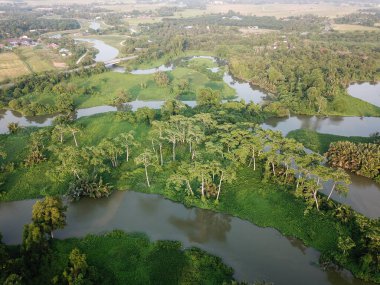 Yeşil Hava Hitam Dalam Eğitim Ormanı.