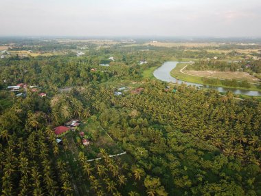 Hindistan cevizi çiftliğindeki Malezya evinin kırsal alanı ve çevreleyen yeşil.