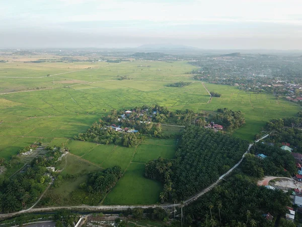 Zelená Krajina Plantáže Malajsijském Kampungu Bukit Mertajam — Stock fotografie