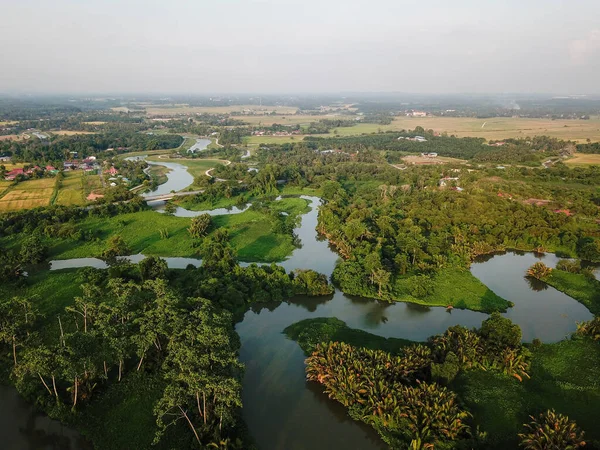 Ormanın yeşil manzarası çeltik tarlasıyla çevrili..