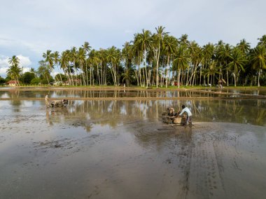 Çiftçi, araziyi traktör makinesiyle işlet..