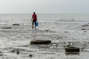 İstiridye arayan bir balıkçı..