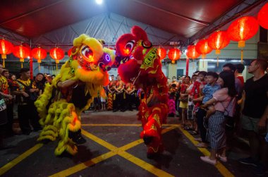 Aslan sokakta dans eder