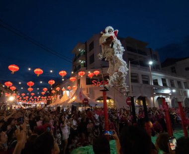 Çin Yeni Yıl kutlamalarında yüksek stil ile aslan dansı gösterisi.