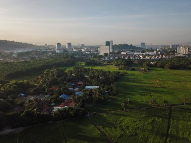 Malays kampung çeltik tarlasının yanında, BM kasabasının arka planında..