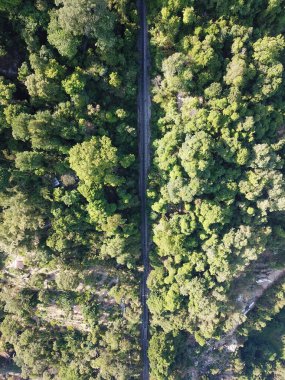 Penang Hill 'deki yeşil füniküler tren yolu..