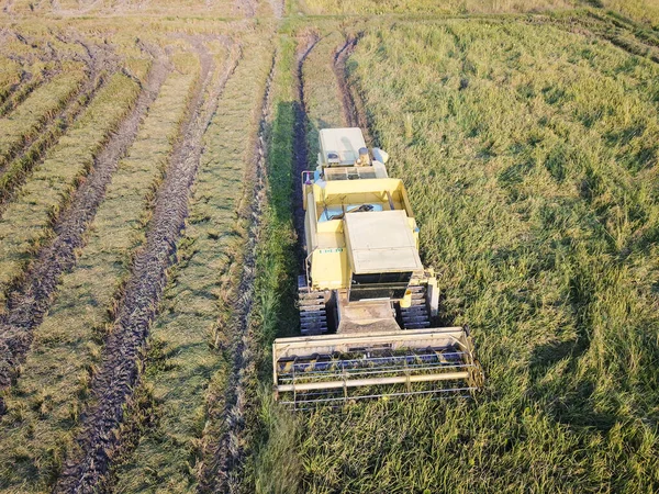 Colheitadeira com vista superior no campo de paddy . — Fotografia de Stock