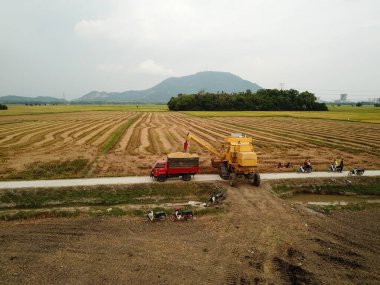 Çiftçi mahsulü hasatçıdan kamyona nakleder..