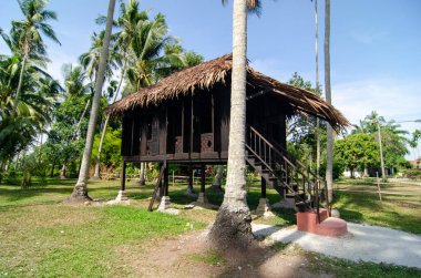 Hindistan cevizi tarlasında Malay kampung evi.