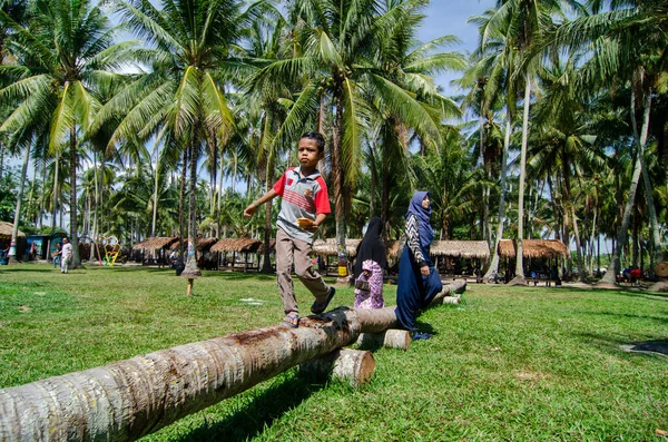 Kinder laufen auf dem Stamm der Kokosnuss. — Stockfoto